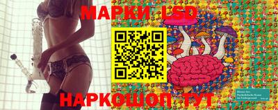 шишки Аргун