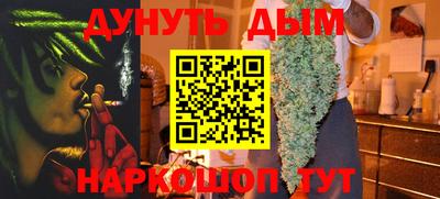 шишки Аргун