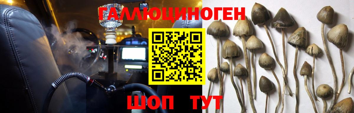 Белово  Галлюциногенные грибы Psilocybine cubensis  Вход с VPN  Псилоцибиновые грибы прущие грибы 